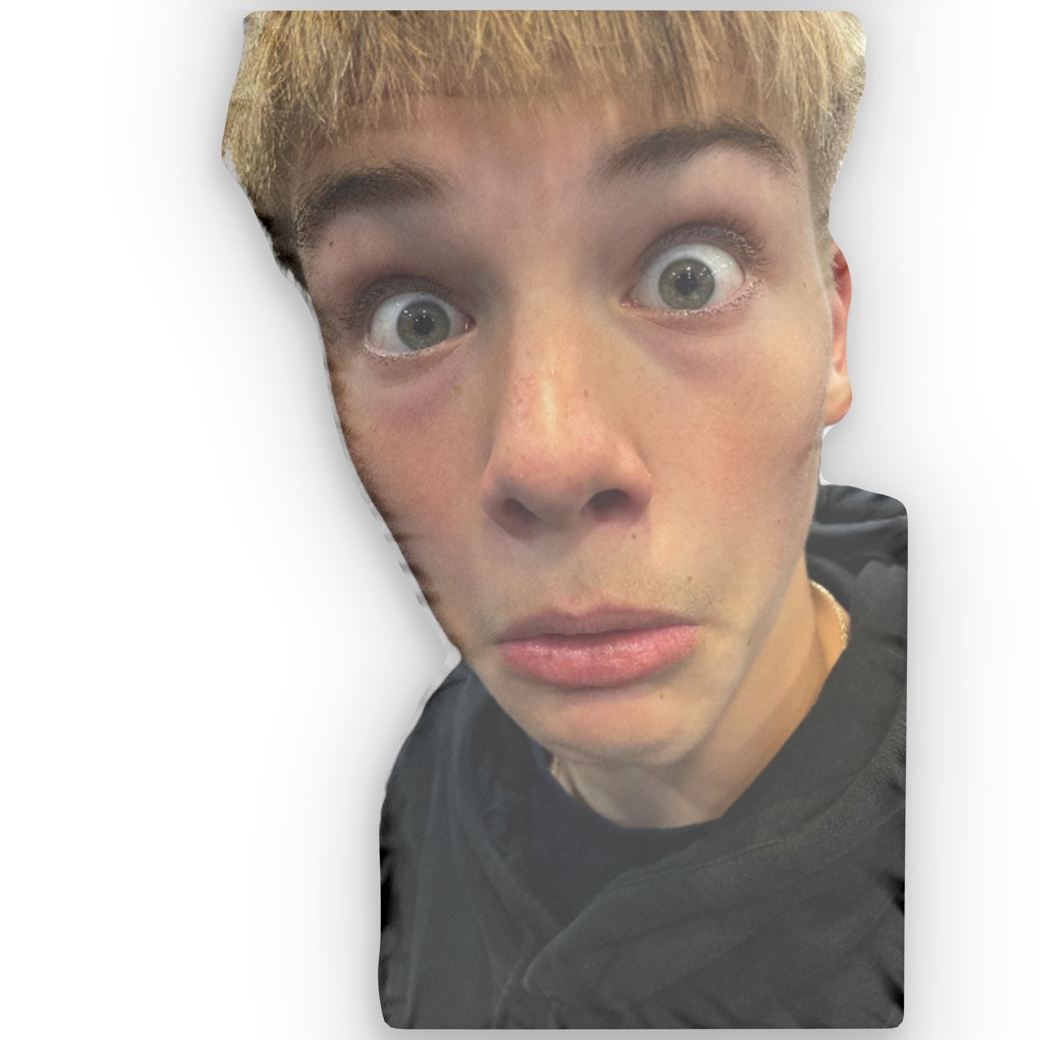 Homan Pillow