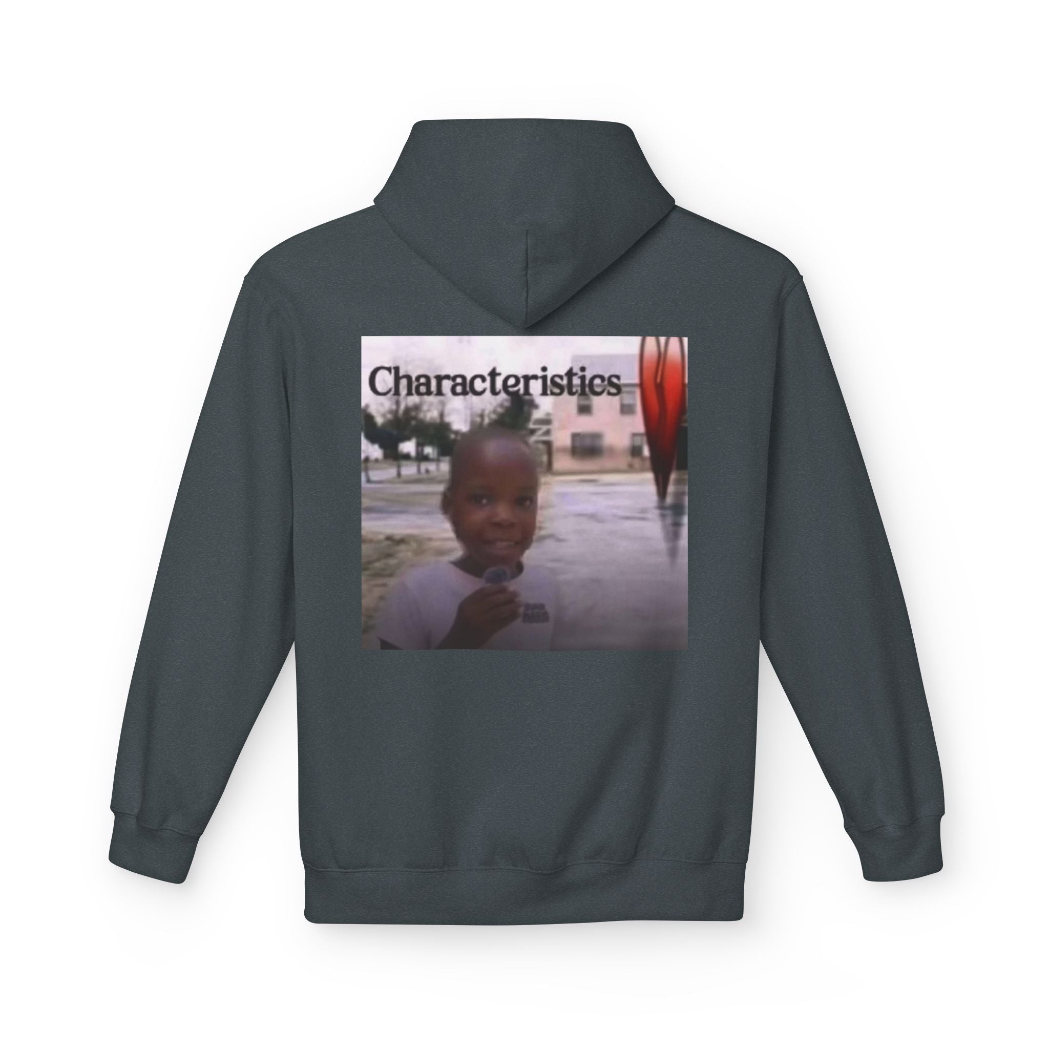 Characteristics Backside Fleece Hoodie