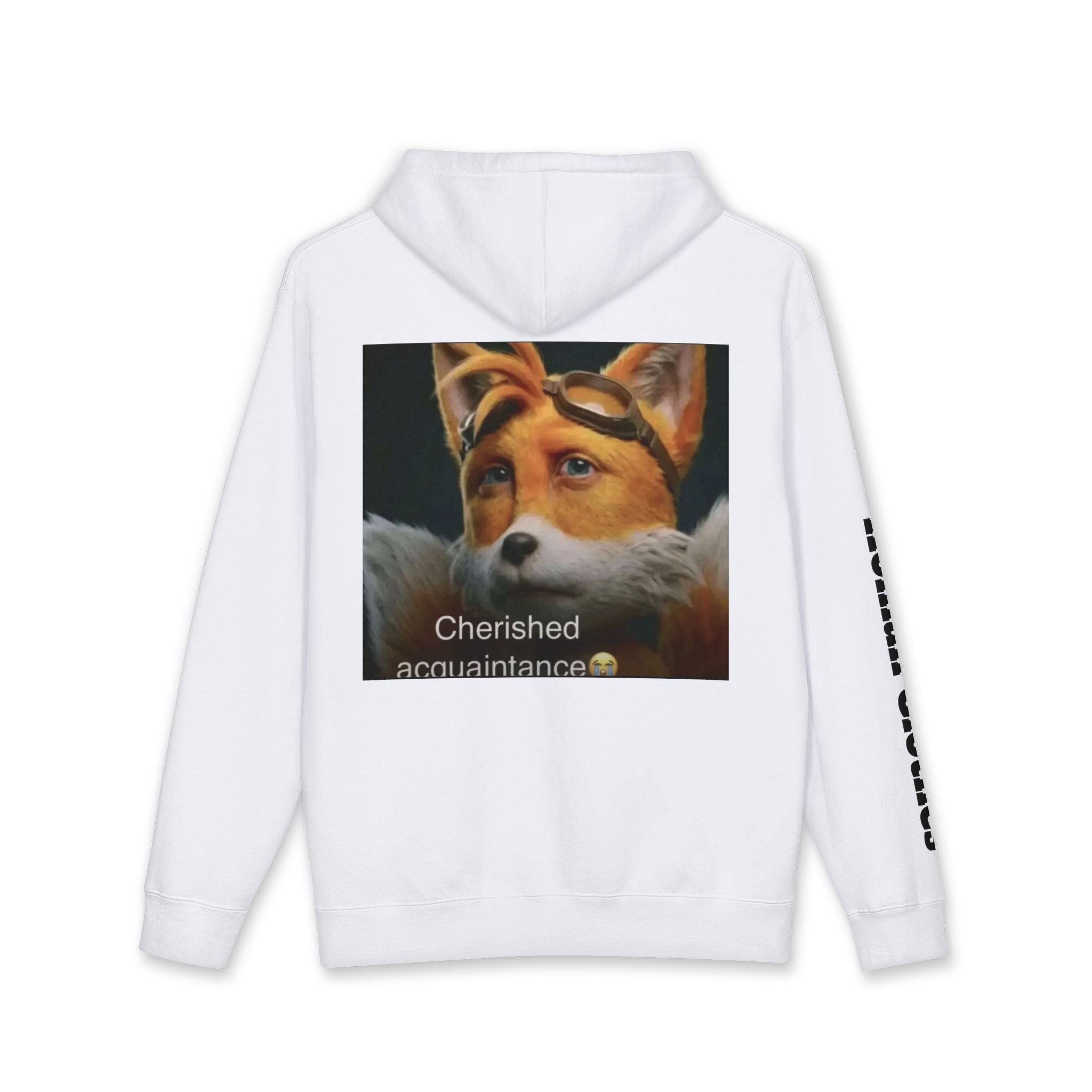 Companion Hoodie