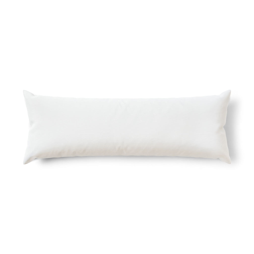 Einstein Body Pillow