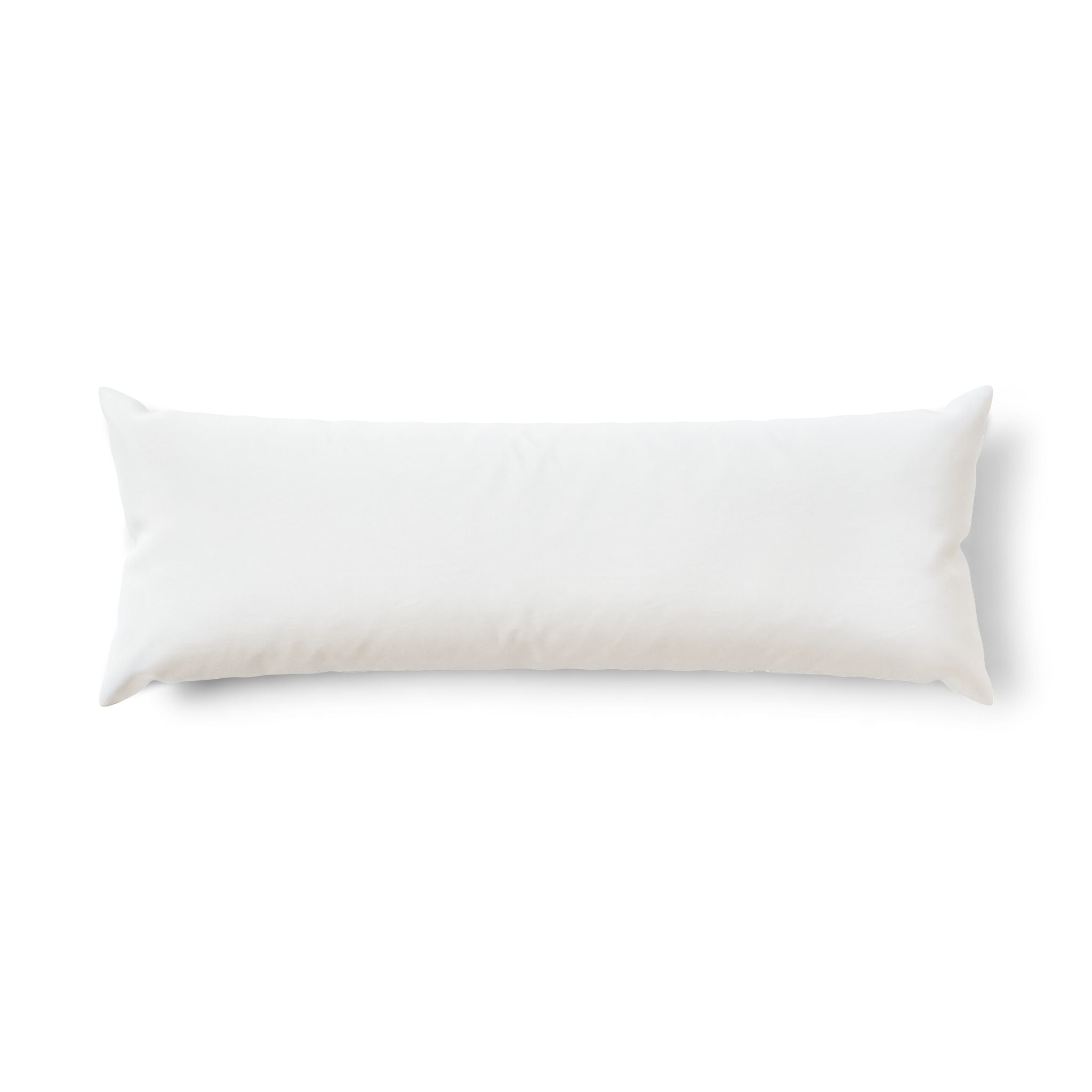Einstein Body Pillow